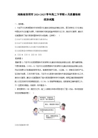 【政治】河南省洛阳市2024-2025学年高二下学期6月质量检测政治试题（解析版）