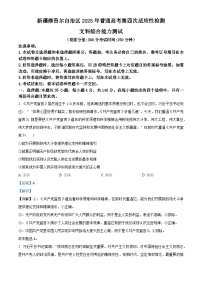 新疆维吾尔自治区2025届高三下学期四模文综政治试卷（Word版附解析）