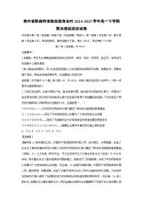 贵州省黔南布依族苗族自治州2024~2025学年高一下学期期末测试政治政治试卷（解析版）