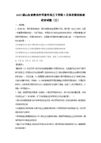 2025届山东省青岛市平度市高三下学期下5月高考模拟检测（三）政治试卷（解析版）
