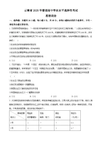 2025年高考真题——政治（云南卷） 含答案