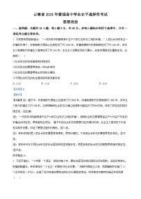 2025年高考真题——政治（云南卷）  含解析
