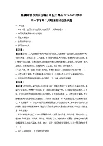 新疆维吾尔自治区喀什地区巴楚县2024-2025学年高一下学期7月期末测试政治政治试题（解析版）