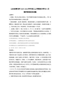山东省青岛市2025-2026学年高三上学期部分学生8月调研检测政治试题（解析版）