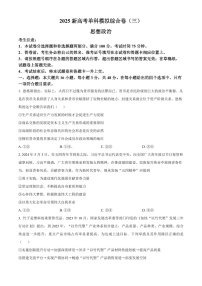 2025届河北省新高考高三下学期10月单科模拟综合卷（三）-政治试题（含答案）