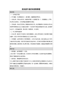 高中政治 (道德与法治)人教统编版必修4 哲学与文化在实践中追求和发展真理教学设计