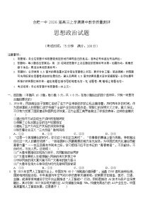 安徽省合肥一中2025-2026学年高三上学期期中考试政治试卷