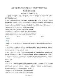 安徽省合肥市普通高中六校联盟2025-2026学年高三上学期11月期中考试政治试卷（Word版附解析）