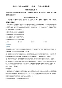 安徽省宿州十三校2025-2026学年高二上学期11月期中考试政治试卷（Word版附解析）