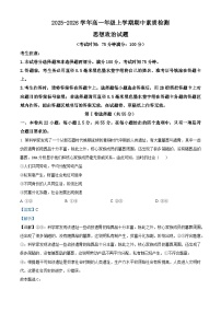 安徽省芜湖市安徽师范大学附属中学2025-2026学年高一上学期11月期中考试政治试卷（Word版附解析）