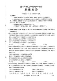 2025年河北太阳高三上学期11月期中政治试题及答案