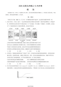 2025北京九中高三上12月月考政治试卷