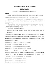 云南省文山壮族苗族自治州文山市第一中学2025-2026学年高二上学期12月月考政治试题（含解析）含答案解析
