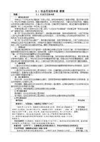 政治 (道德与法治)必修4 哲学与文化社会历史的本质教学设计