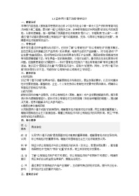 人教统编版必修2 经济与社会坚持“两个毫不动摇”教案