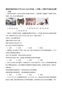 湖南省株洲市南方中学2025-2026学年高一上学期期中考试政治试卷（含答案）