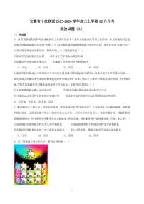 2025-2026学年安徽省A10联盟高二上学期12月学情检测-政治试题（含答案）