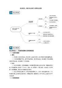 人教统编版必修2 经济与社会综合探究 践行社会责任 促进社会进步导学案