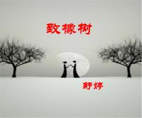 高中语文高教版（中职）基础模块 上册致橡树  舒  婷评课课件ppt