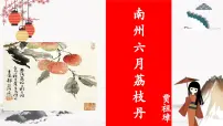 高教版（中职）基础模块 下册第二单元阅读与欣赏六 南州六月荔枝丹 贾祖璋获奖教学ppt课件