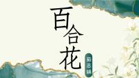 部编高教版(2023)基础模块 下册*百合花教案配套课件ppt