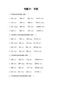 专题01 字音（学生版） -【中职专用】中职高考语文复习讲练测（通用）