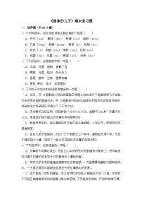 5.3《国家的儿子》期末复习题（含解析）【中职专用】2024-2025学年中职高一语文（2023高教版基础模块上册）