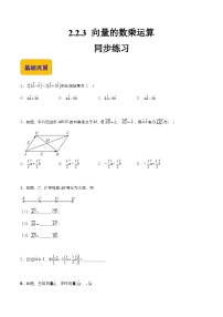 中职高教版（2021）2.2.3  向量的数乘运算精品练习题