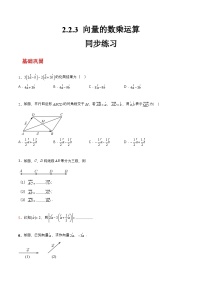 中职数学高教版（2021）拓展模块一 上册2.2.3  向量的数乘运算精品课时训练