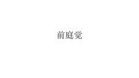 感统  前庭觉幼儿园课件PPT