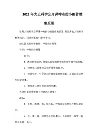 2021年大班科学公开课神奇的小细管教案反思