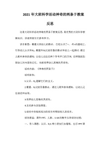 2021年大班科学活动神奇的两条于教案反思