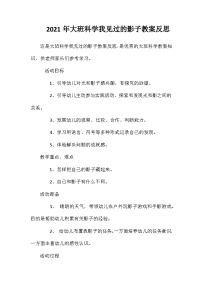 2021年大班科学我见过的影子教案反思