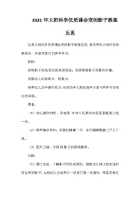 2021年大班科学优质课会变的影子教案反思