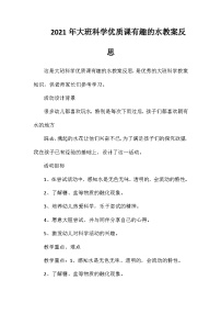 2021年大班科学优质课有趣的水教案反思