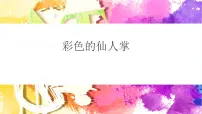 大班《彩色的仙人掌》+课件