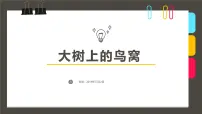 大班《树上的鸟窝》+课件