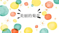 大班 美丽的菊花》+课件