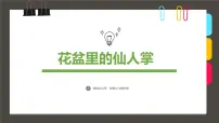 大班《花盆里的仙人掌》+课件
