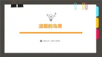 大班《温暖的鸟窝》+课件