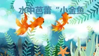 通用 学前教育 大班《“水中芭蕾”小金鱼》课件