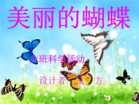 大班科学课件（ppt）：美丽的蝴蝶