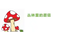 学前教育大班《丛林里的蘑菇》课件