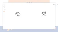学前教育大班《松果》课件