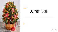 学前教育大班《大“桔”大利》课件