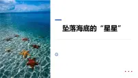 学前教育大班《坠落海底的“星星”》课件