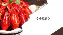 学前教育大班《小龙虾》课件