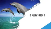 学前教育大班《海豚的朋友》课件