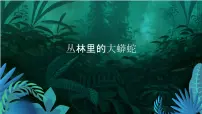 学前教育大班《丛林里的大蟒蛇》课件