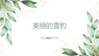 学前教育大班《美丽的雪豹》课件